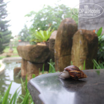 фото из отзыва ID 1437467