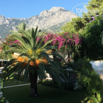 фото из отзыва ID 1437656