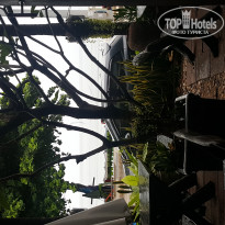 фото из отзыва ID 1437687