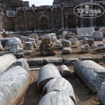 фото из отзыва ID 1437691