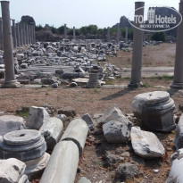 фото из отзыва ID 1437691