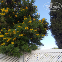 фото из отзыва ID 1437710