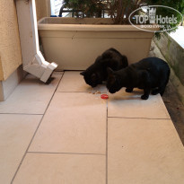 фото из отзыва ID 1437735