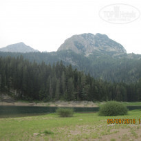 фото из отзыва ID 1437735