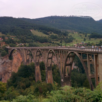 фото из отзыва ID 1437735