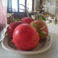 фото из отзыва ID 1437824