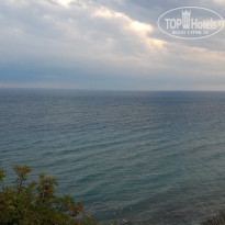 фото из отзыва ID 1437824