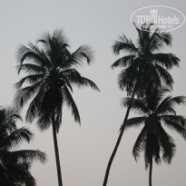 фото из отзыва ID 1437858