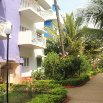 фото из отзыва ID 1437858