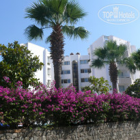 фото из отзыва ID 1437907