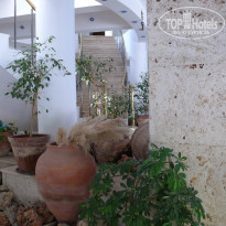 фото из отзыва ID 1437907