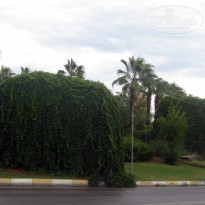 фото из отзыва ID 1437960