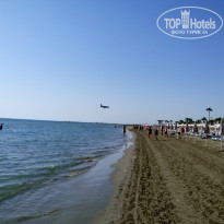 фото из отзыва ID 1437964