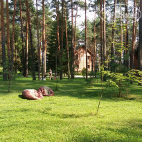 фото из отзыва ID 1438048