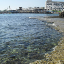 фото из отзыва ID 1438109