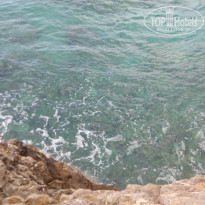 фото из отзыва ID 1438365