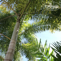 фото из отзыва ID 1438368