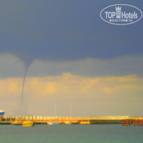 фото из отзыва ID 1438596