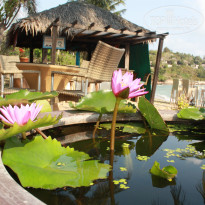 фото из отзыва ID 1438602