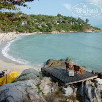 фото из отзыва ID 1438602