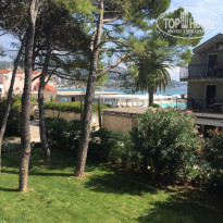 фото из отзыва ID 1438622