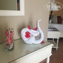 фото из отзыва ID 1437609