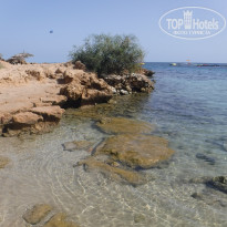 фото из отзыва ID 1438746