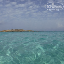 фото из отзыва ID 1438746