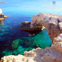 фото из отзыва ID 1438746