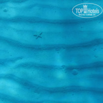 фото из отзыва ID 1438746