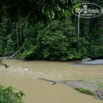 фото из отзыва ID 1438881