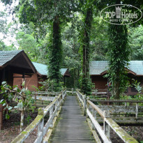 фото из отзыва ID 1438881