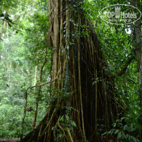 фото из отзыва ID 1438881