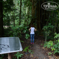 фото из отзыва ID 1438881