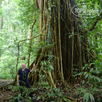 фото из отзыва ID 1438881