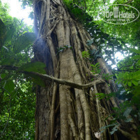 фото из отзыва ID 1438881