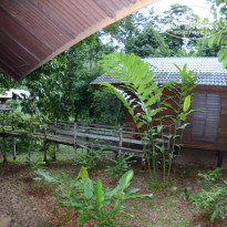 фото из отзыва ID 1438881