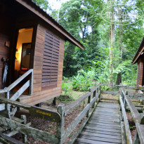 фото из отзыва ID 1438881