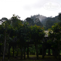 фото из отзыва ID 1438881