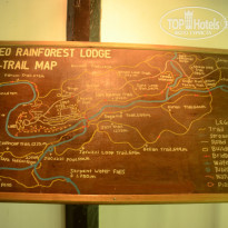 фото из отзыва ID 1438881