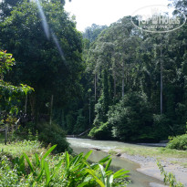 фото из отзыва ID 1438881