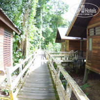 фото из отзыва ID 1438881