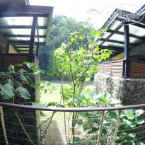 фото из отзыва ID 1438881