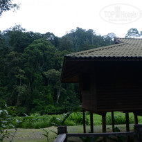 фото из отзыва ID 1438881