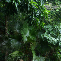 фото из отзыва ID 1438881