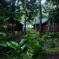 фото из отзыва ID 1438881