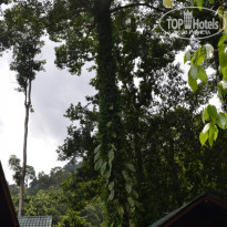 фото из отзыва ID 1438881