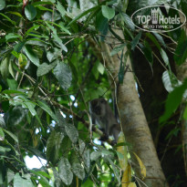 фото из отзыва ID 1438881