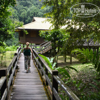 фото из отзыва ID 1438881