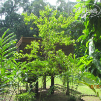 фото из отзыва ID 1438881